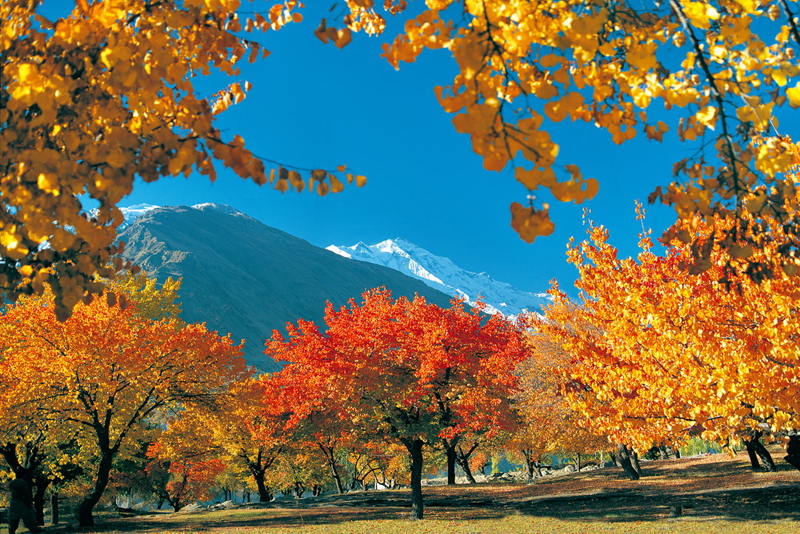 Autumn in Hunza(2)